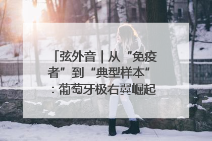 弦外音｜从“免疫者”到“典型样本”：葡萄牙极右翼崛起背后的欧洲困局