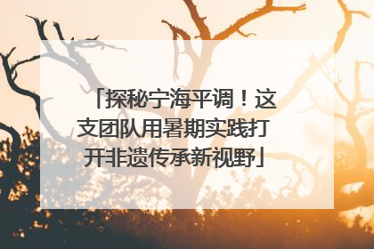 探秘宁海平调！这支团队用暑期实践打开非遗传承新视野
