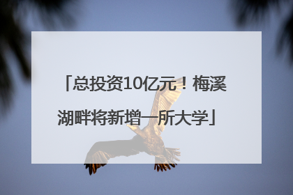 总投资10亿元！梅溪湖畔将新增一所大学