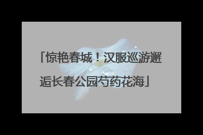 惊艳春城！汉服巡游邂逅长春公园芍药花海