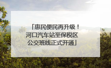 惠民便民再升级！河口汽车站至保税区公交班线正式开通