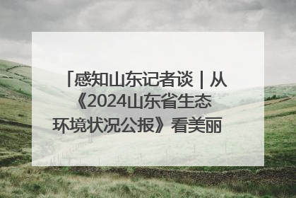 感知山东记者谈｜从《2024山东省生态环境状况公报》看美丽山东建设的“成绩单”与“任务书”