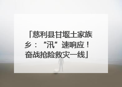 慈利县甘堰土家族乡：“汛”速响应！奋战抢险救灾一线