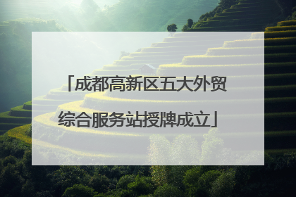 成都高新区五大外贸综合服务站授牌成立