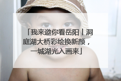 我来邀你看岳阳丨洞庭湖大桥彩绘换新颜，一城湖光入画来