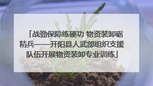 战勤保障练硬功 物资装卸砺精兵——开阳县人武部组织支援队伍开展物资装卸专业训练