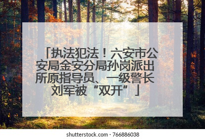 执法犯法！六安市公安局金安分局孙岗派出所原指导员、一级警长刘军被“双开”