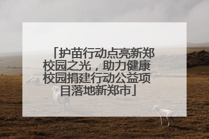 护苗行动点亮新郑校园之光，助力健康校园捐建行动公益项目落地新郑市