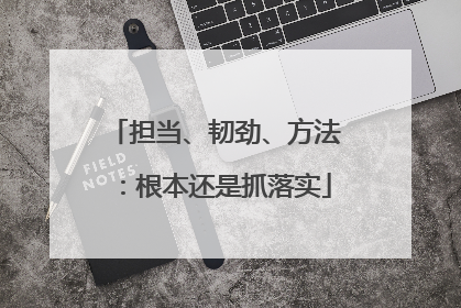 担当、韧劲、方法：根本还是抓落实