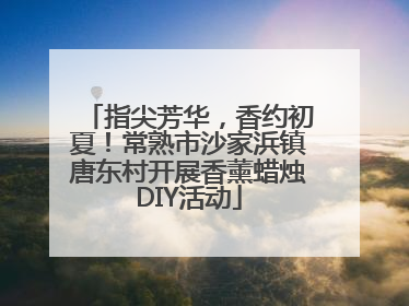 指尖芳华，香约初夏！常熟市沙家浜镇唐东村开展香薰蜡烛DIY活动