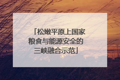 松嫩平原上国家粮食与能源安全的三峡融合示范