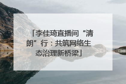 李佳琦直播间“清朗”行：共筑网络生态治理新桥梁