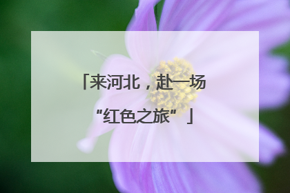 来河北，赴一场“红色之旅”