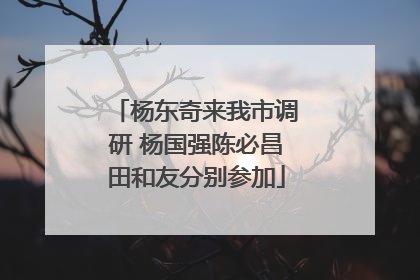 杨东奇来我市调研 杨国强陈必昌田和友分别参加