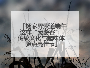 杨家界索道端午这样“宠游客” 传统文化与趣味体验点亮佳节