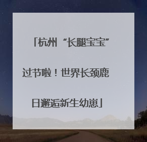 杭州“长腿宝宝”过节啦！世界长颈鹿日邂逅新生幼崽