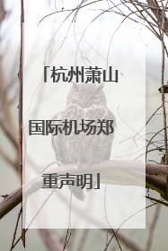 杭州萧山国际机场郑重声明