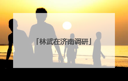 林武在济南调研