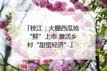 枝江：大棚西瓜抢“鲜”上市 激活乡村“甜蜜经济”