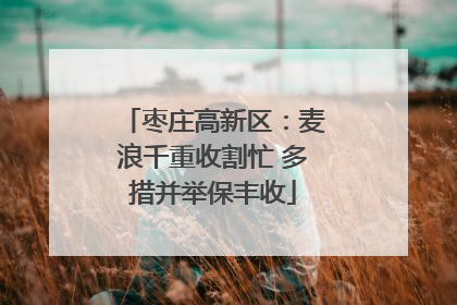 枣庄高新区：麦浪千重收割忙 多措并举保丰收
