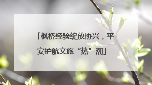 枫桥经验绽放协兴，平安护航文旅“热”潮