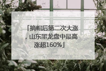 摘帽后第二次大涨，山东墨龙盘中最高涨超160%