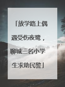 放学路上偶遇受伤夜鹭，聊城三名小学生求助民警