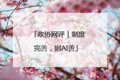 政协网评｜制度完善，则AI善