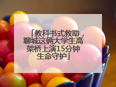 教科书式救助，聊城这俩大学生高架桥上演15分钟生命守护