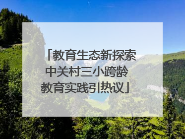 教育生态新探索 中关村三小跨龄教育实践引热议