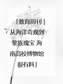 教育周刊｜从海洋奇观到黎族瑰宝 海南高校博物馆很有料