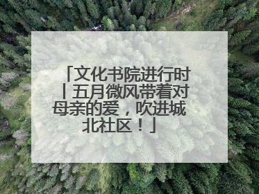 文化书院进行时丨五月微风带着对母亲的爱，吹进城北社区！