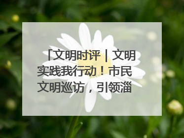 文明时评｜文明实践我行动！市民文明巡访，引领淄博全民志愿