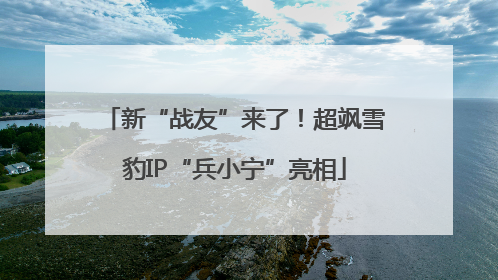 新“战友”来了！超飒雪豹IP“兵小宁”亮相