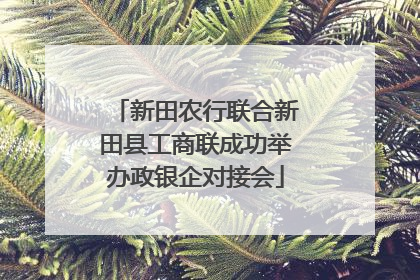 新田农行联合新田县工商联成功举办政银企对接会