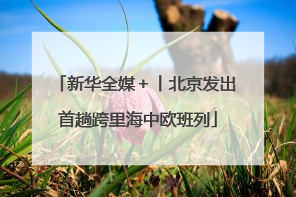 新华全媒＋丨北京发出首趟跨里海中欧班列