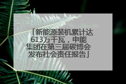 新能源装机累计达613万千瓦，申能集团在第三届碳博会发布社会责任报告