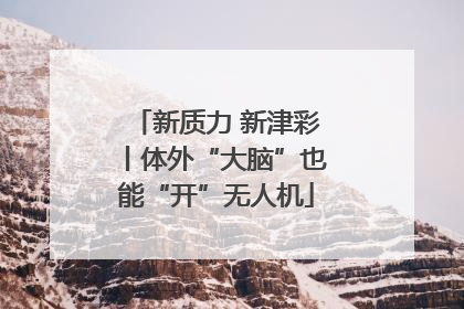 新质力 新津彩丨体外“大脑”也能“开”无人机