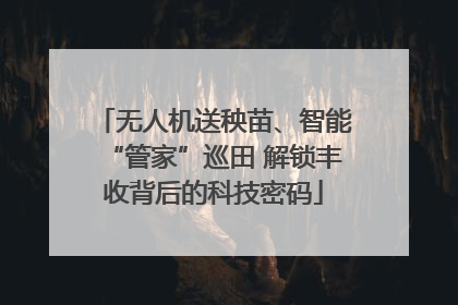 无人机送秧苗、智能“管家”巡田 解锁丰收背后的科技密码