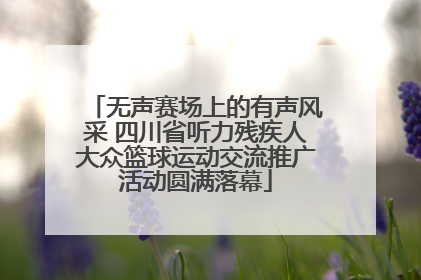 无声赛场上的有声风采 四川省听力残疾人大众篮球运动交流推广活动圆满落幕