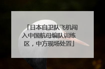 日本自卫队飞机闯入中国航母编队训练区，中方现场处置