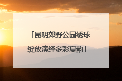昆明郊野公园绣球绽放演绎多彩夏韵
