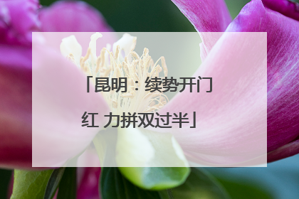 昆明：续势开门红 力拼双过半