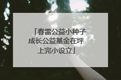 春雷公益小种子成长公益基金在坪上完小设立