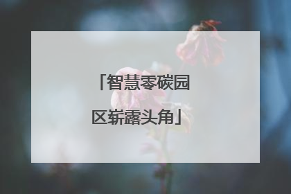 智慧零碳园区崭露头角