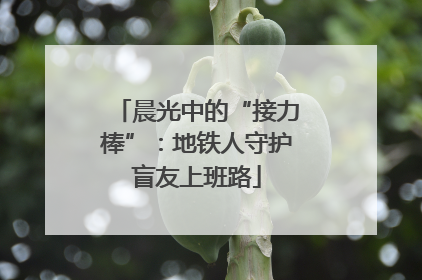晨光中的“接力棒”：地铁人守护盲友上班路