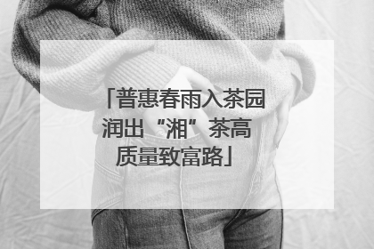 普惠春雨入茶园 润出“湘”茶高质量致富路