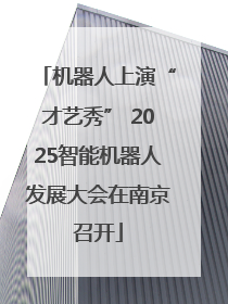 机器人上演“才艺秀” 2025智能机器人发展大会在南京召开