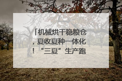 机械烘干稳粮仓，夏收夏种一体化！“三夏”生产跑出加速度｜麦报