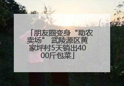 朋友圈变身“助农卖场” 武陵源区黄家坪村5天销出4000斤包菜